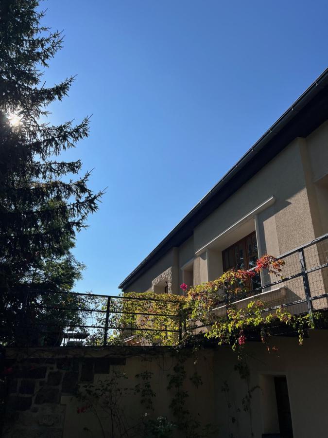 Vila Bellevue 야블로네츠나트니소우 외부 사진